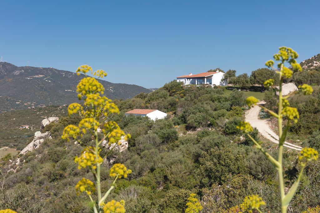 Agriturismo Cabu Abbas Villa Olbia Exterior photo